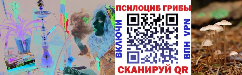 даркнет сайт  Карабаново  Псилоцибиновые грибы GOLDEN TEACHER 